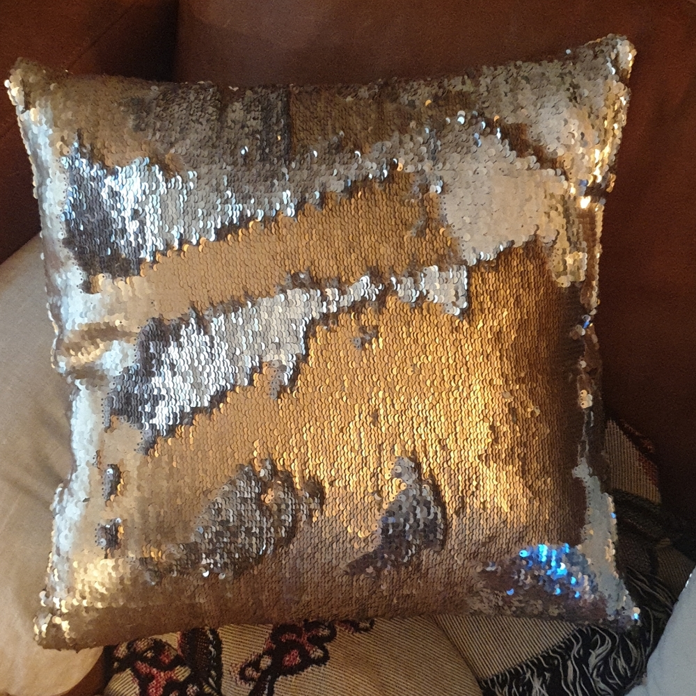Sequined throw pillows